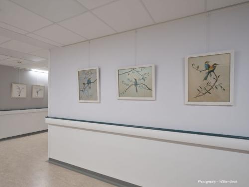 DCC-ART-Bath-Photographic-Society-14